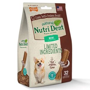 Nylabone Nutri Dent Filet Mignon Flavored Dog Dental Chews 32 Mini 1.75" Treats for Dogs 5-10 lbs.