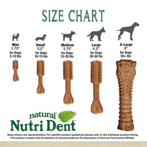 Nylabone Nutri Dent Filet Mignon Flavored Dog Dental Chews 32 Mini 1.75" Treats for Dogs 5-10 lbs.