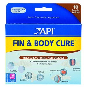 api 2 pack of fin and body cure freshwater fish powder medication, 10-count per pack