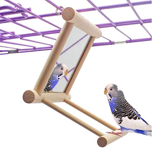 Bird Toy for Parrot Parakeets Conures Cockatiels Cage Swing Wooden Mirror Fun Play Toy for Birds