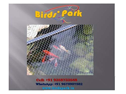 Anti Bird Net-Bird Protection Net Protection from Pigeon Birds & Cat Size: 8x6' (High Density Polyethylene (HDPE)