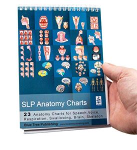 slp anatomy flip book speech language pathology