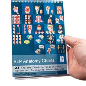 SLP Anatomy Flip Book Speech Language Pathology