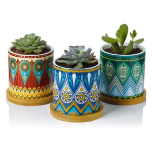 greenaholics succulent planter pots-3 inch small ceramic planters plants pots mini succulent pots with bamboo tray and drainage hole for indoor plants, colorful mandala patterns, set of 3