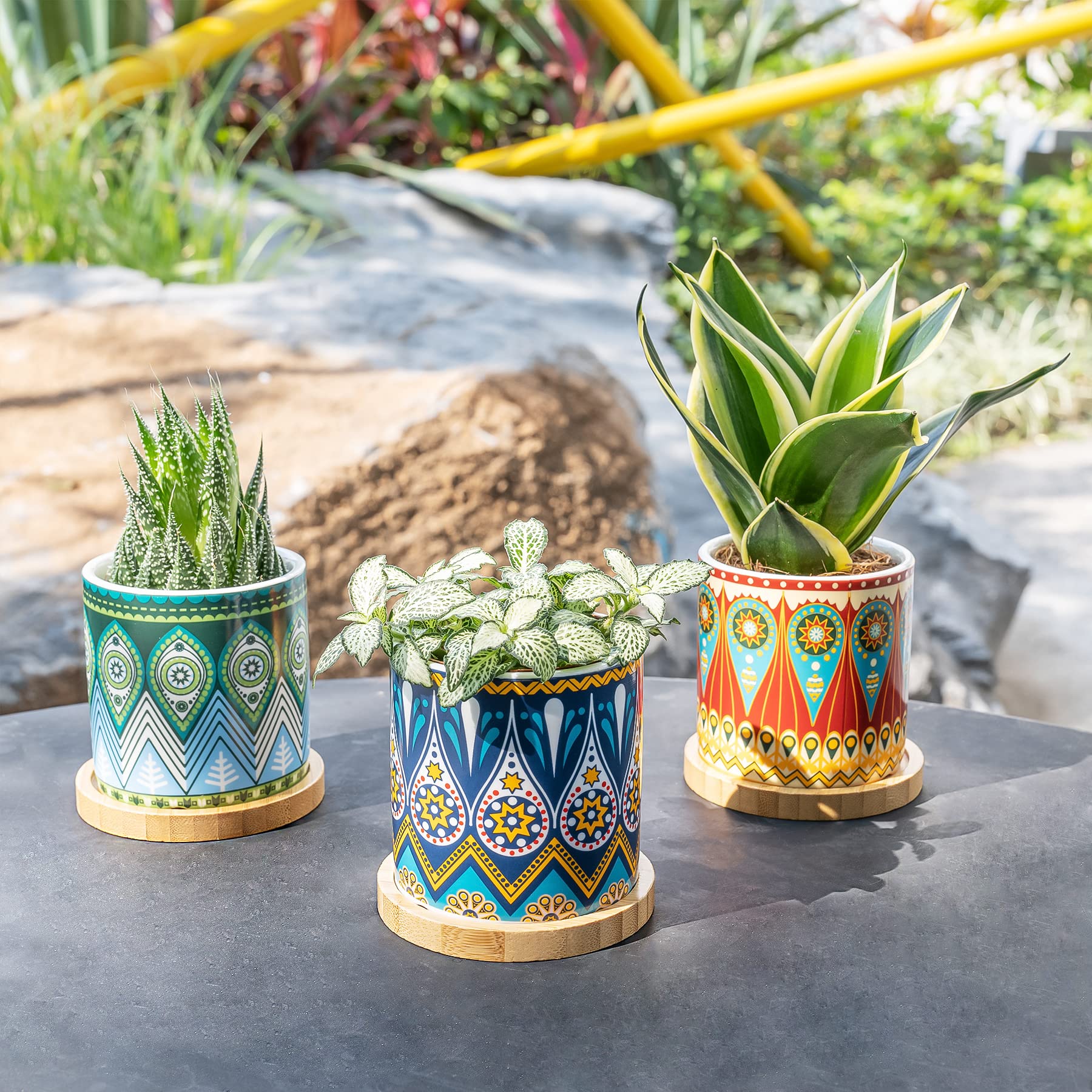 Greenaholics Succulent Planter Pots-3 Inch Small Ceramic Planters Plants Pots Mini Succulent pots with Bamboo Tray and Drainage Hole for Indoor Plants, Colorful Mandala Patterns, Set of 3