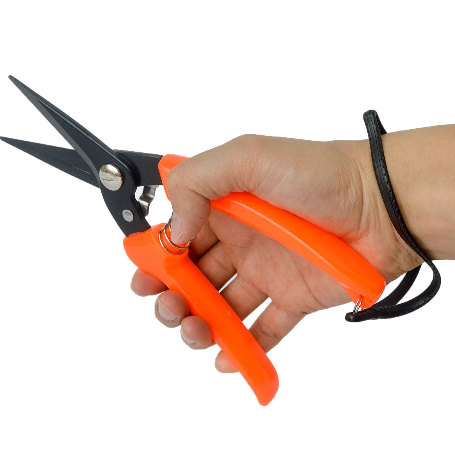 Hoof Trimming Shears for Sheep Goat Hoof Trimmers Multi-Purpose Carbon Steel Pruning Shears for Used by Farmers, Florists and Home Gardeners