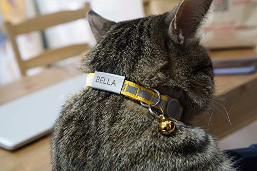 Custom Breakaway Cat Collars with Bell - Engraved Stainless Steel No Noise Slide-On Identification Tags On Collar - Up to 3 Lines of Personalized Text (Reflection)