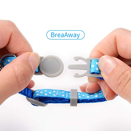 Custom Breakaway Cat Collars with Bell - Engraved Stainless Steel No Noise Slide-On Identification Tags On Collar - Up to 3 Lines of Personalized Text (Reflection)