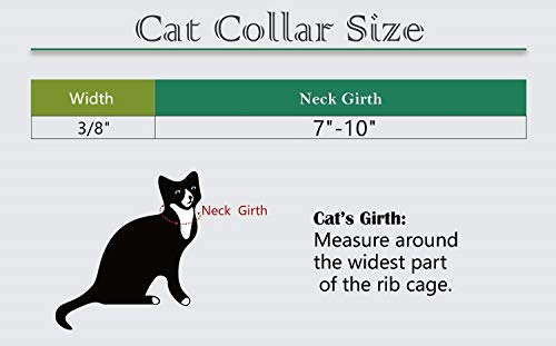 Custom Breakaway Cat Collars with Bell - Engraved Stainless Steel No Noise Slide-On Identification Tags On Collar - Up to 3 Lines of Personalized Text (Reflection)