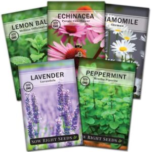 sow right seeds - herbal tea collection - lemon balm, chamomile, peppermint, lavender, echinacea herb seed for planting; non-gmo heirloom seed, instructions to plant indoor or outdoor; gardening gift