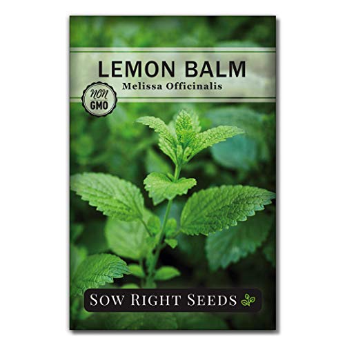 Sow Right Seeds - Herbal Tea Collection - Lemon Balm, Chamomile, Peppermint, Lavender, Echinacea Herb Seed for Planting; Non-GMO Heirloom Seed, Instructions to Plant Indoor or Outdoor; Gardening Gift
