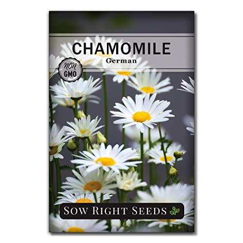 Sow Right Seeds - Herbal Tea Collection - Lemon Balm, Chamomile, Peppermint, Lavender, Echinacea Herb Seed for Planting; Non-GMO Heirloom Seed, Instructions to Plant Indoor or Outdoor; Gardening Gift