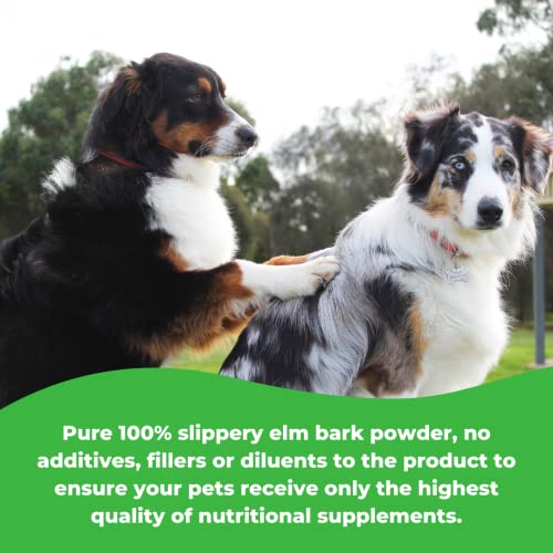 Wonder Labs Slippery Elm Bark Powder, Supports and Promotes a Healthier Digestive Tract for Your Pet