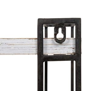 Kate and Laurel Lintz Modern Industrial Wood and Metal Floating Wall Shelves with Black Metal Frame, Rustic White