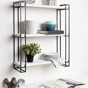 Kate and Laurel Lintz Modern Industrial Wood and Metal Floating Wall Shelves with Black Metal Frame, Rustic White