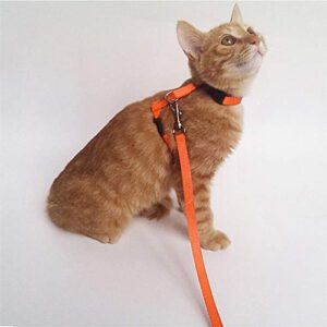 Gizhome 2 Pack Cat Harness and Leash Adjustable Halter Harness Nylon Strap Belt Safety Rope Leads for Kitten, Orange & Light Blue