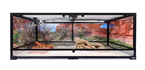 Reptile Habitat Background; Double Arch with Tree, for 48Lx24Wx18H Terrarium, 3-Sided Wraparound