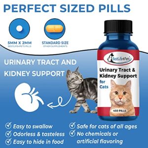 BestLife4Pets Cat UTI Urinary Tract Infection & Kidney Support Treatment - All Natural Medicine to Stop Frequent Urination - Cats Renal Health and Bladder Control - Easy to Use Natural Pills