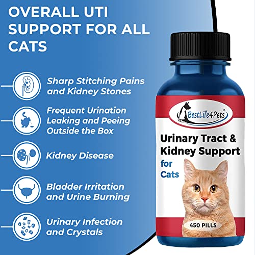 BestLife4Pets Cat UTI Urinary Tract Infection & Kidney Support Treatment - All Natural Medicine to Stop Frequent Urination - Cats Renal Health and Bladder Control - Easy to Use Natural Pills