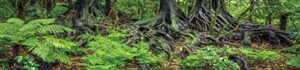 reptile habitat background; rain forest ferns & roots, for 48lx24wx24h terrarium, 3-sided wraparound