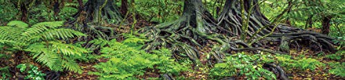 Reptile Habitat Background; Rain Forest Ferns & Roots, for 48Lx24Wx24H Terrarium, 3-Sided Wraparound