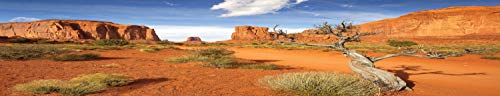 Reptile Habitat Background; Monument Valley with Tree, for 36Lx24Wx18H Terrarium, 3-Sided Wraparound