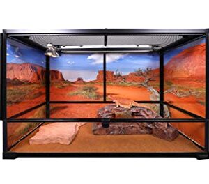 Reptile Habitat Background; Monument Valley with Tree, for 36Lx24Wx18H Terrarium, 3-Sided Wraparound