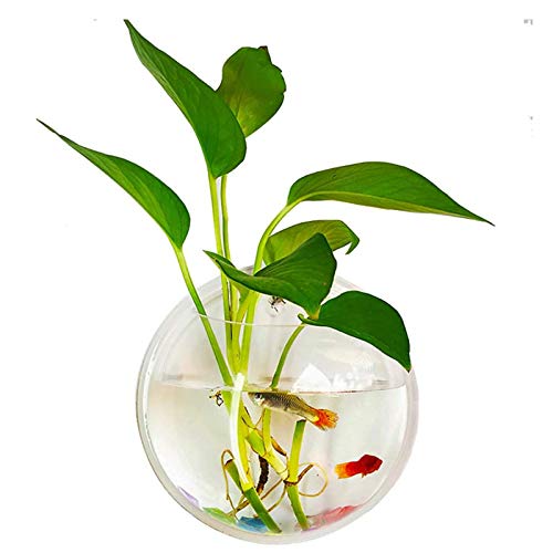 kathson Wall Fish Bowl Acrylic Hanging Aquarium Wall Mounted Bubble Betta Fish Tank Bowl Decor Plant (7.28in)