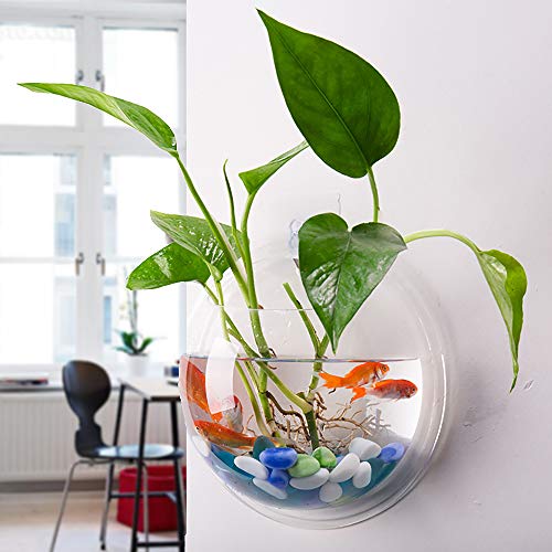 kathson Wall Fish Bowl Acrylic Hanging Aquarium Wall Mounted Bubble Betta Fish Tank Bowl Decor Plant (7.28in)