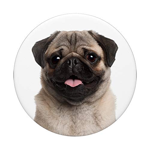 Cute Pug Face With Tongue Out On White Background PopSockets PopGrip: Swappable Grip for Phones & Tablets