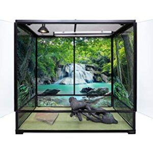 Reptile Habitat Background; Rain Forest with Waterfall, for 36Lx24Wx18H Terrarium, 3-Sided Wraparound