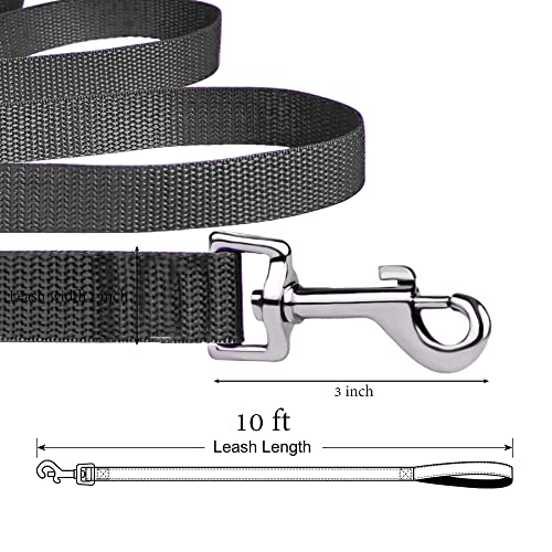 Accessory USA 10ft Black Long Line Training Dog Leash,for Large,Medium and Small Dogs,Long Dog Lead,for Training,Backyard,Camping,or Play,Great for Parks and Fetch (10FT, Black)