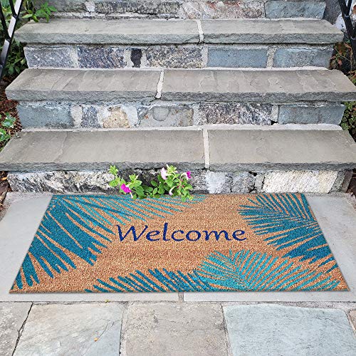 Liora Manne Natura Door Mat - Novelty Designs, Durable Natural Coir & Vinyl Back, Long Lasting Color, Foyers, Porches, Patios & Decks, Welcome, 2' x 3'