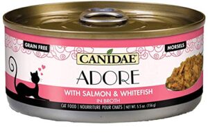 canidae adore premium wet cat food, morsels with salmon and whitefish in broth, 2.46 ounce (pack of 24), grain free