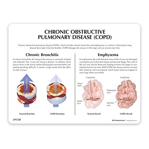 GPI Anatomicals - Anatomy Model of Human Respiratory System with Chronic Obstructive Pulmonary Disease (COPD), Bronchus and Alveoli Models for Anatomy and Physiology Education, Medical Study Supplies