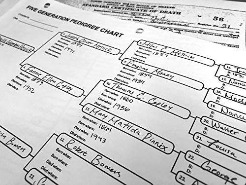 Five Generation Pedigree Charts for Genealogists (7-pack) | Archival-Quality Genealogy Forms for Ancestry