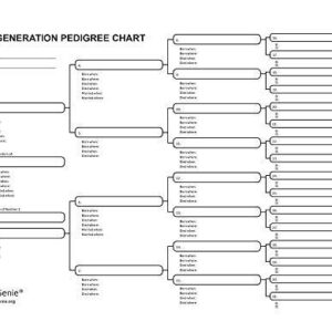 Five Generation Pedigree Charts for Genealogists (7-pack) | Archival-Quality Genealogy Forms for Ancestry