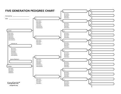 Five Generation Pedigree Charts for Genealogists (7-pack) | Archival-Quality Genealogy Forms for Ancestry