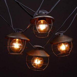 Globe Electric Chicago 10-Light 10ft Outdoor/Indoor String Light, Black Cord, M/F Plugs, Round Vintage Edison Bulbs Included 12949