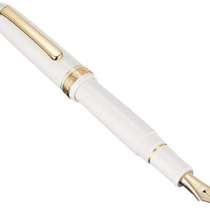 Platinum Fountain Pen #3776 Century (Extra Fine, Chenonceau White)