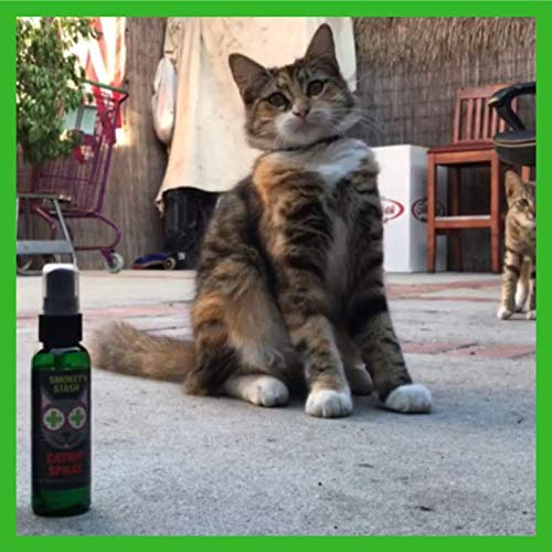 Smokey's Stash Catnip Spray for Cats from 2 Ounce Fresh Premium Maximum Potency nip Treat