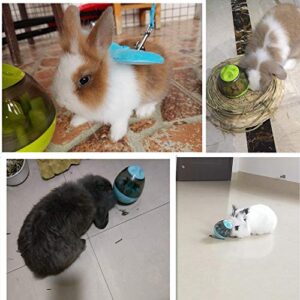 Bunny Food Ball Toy Feeder for Pet Rabbit Chinchillas Small and Medium Animals