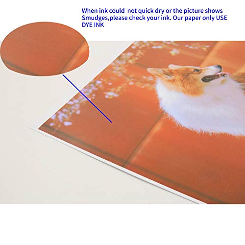 Koala Brochure Paper Double Side Glossy for Printing Photo 8.5X11 Inches 100 Sheets Compatible with Inkjet Printer 42LB
