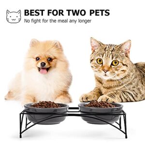 Y YHY Cat Food Bowls, Elevated Cat Bowls, Raised Pet Food Water Bowls with Stand, Ceramic Pet Bowls for Cat or Dogs, 12 Ounces Cat Dishes, Grey