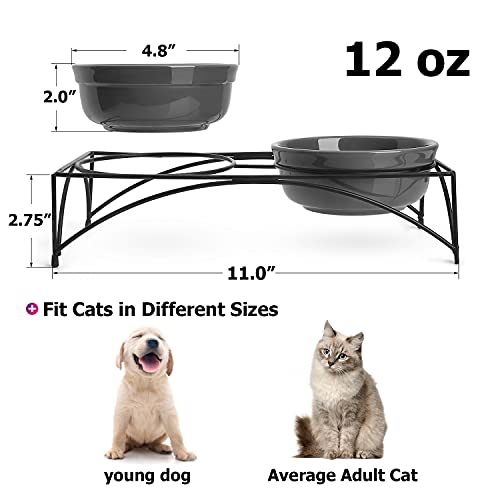 Y YHY Cat Food Bowls, Elevated Cat Bowls, Raised Pet Food Water Bowls with Stand, Ceramic Pet Bowls for Cat or Dogs, 12 Ounces Cat Dishes, Grey