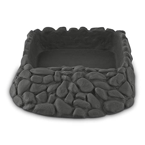 imagitarium Reptile Ramp Bowl, 13" L X 9" W X 2.5" H