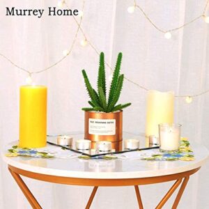 Murrey Home Gym Mirrors 12" Square Wall Mounted Mirror, Frameless Mirror Tiles for Wall Ceiling Candle Tray Wedding Centerpieces for Table, Set of 12, 2mm