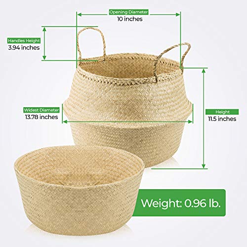 ACELEY Woven Seagrass Belly Basket for Storage – Modern Home Decor Plant Pot Cover, Toy Storage, Wicker Baskets, Plant Basket, Collapsible Laundry Basket, Foldable, Hand Made Seagrass Basket