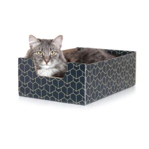 purrfect cat box , blue