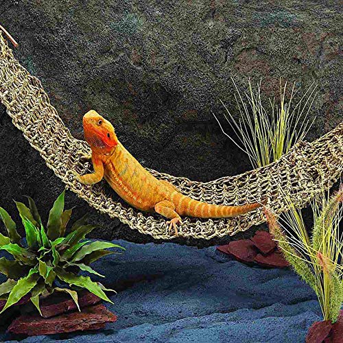 Reptile Lizard Lounger Bearded Dragon Hammock,100% Natural Grass Fibers Hammock Bed for Anoles, Bearded Dragons, Geckos, Iguanas, and Hermit Crabs